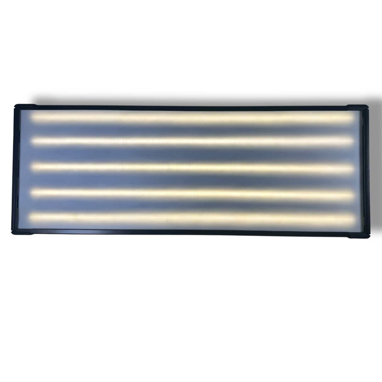 ElimaDent Fatty hail light v2