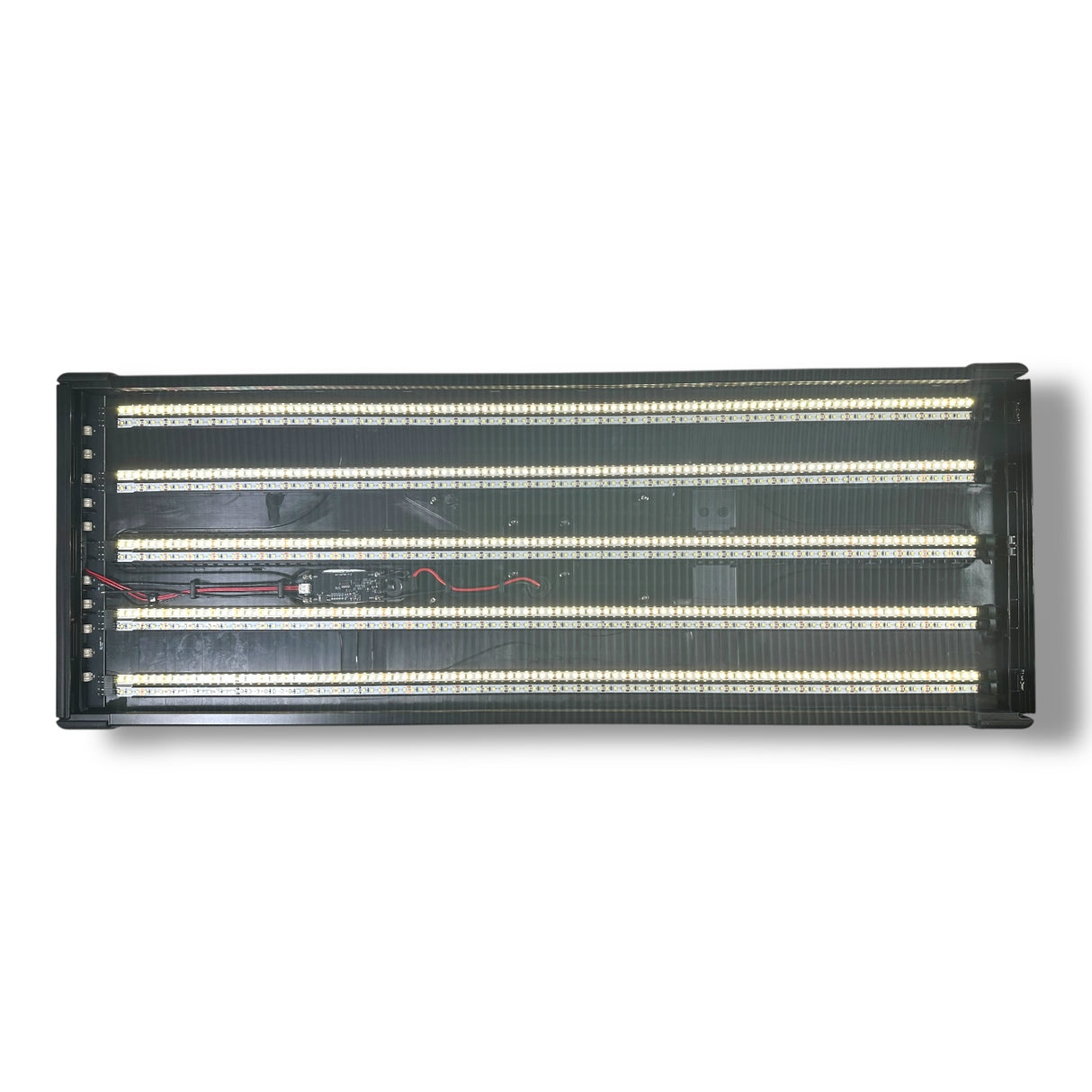 ElimaDent Fatty hail light v2